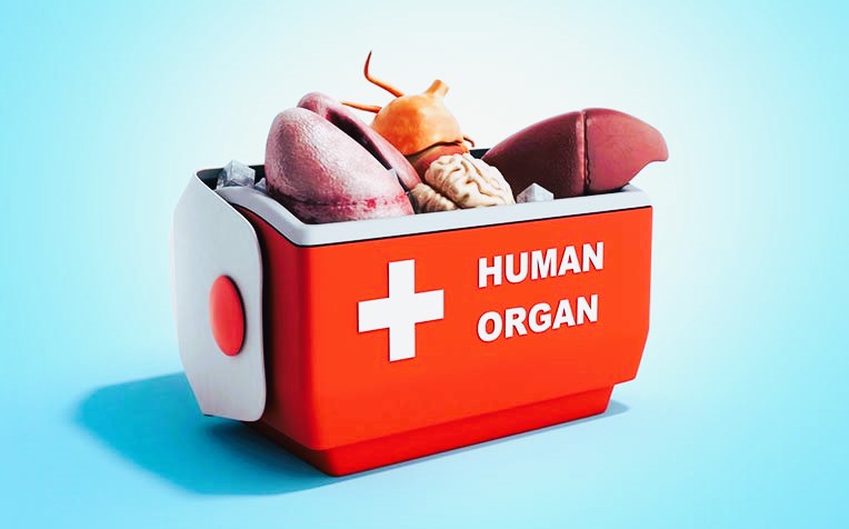 types of organ transplants